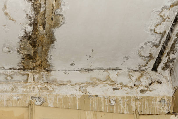 Best Residential Mold Inspection & Testing  in Wakeman, OH