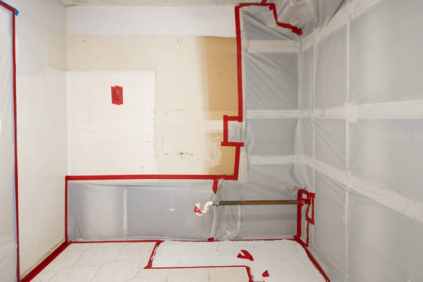 Best Mold Damage Restoration  in Wakeman, OH