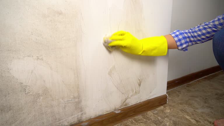 Best Environmental Consulting for Mold Prevention  in Wakeman, OH